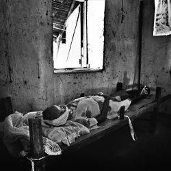 img09132web