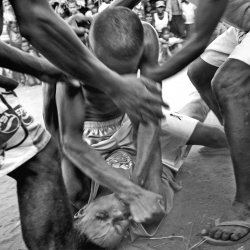 img16352web