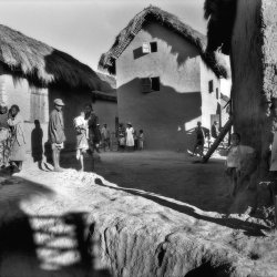 madagascar1382web